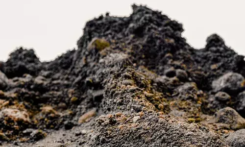 भारी बारिश से चंडीगढ़-शिमला NH-5 बंद, सोलन जिले के सनवारा में भूस्खलन से यातायात ठप