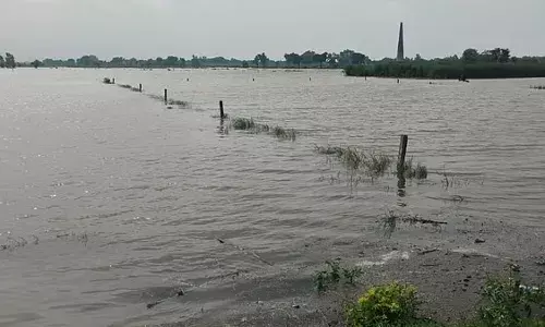 FLOOD: मथुरा-वृंदावन में हाई अलर्ट! यमुना से सटी दर्जनों कॉलोनियों में चार-चार फीट तक भरा पानी, अभी और बढ़ सकता है जलस्तर