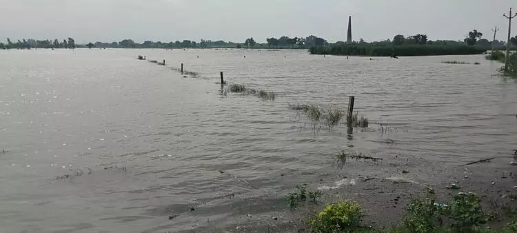 FLOOD: मथुरा-वृंदावन में हाई अलर्ट! यमुना से सटी दर्जनों कॉलोनियों में चार-चार फीट तक भरा पानी, अभी और बढ़ सकता है जलस्तर FLOOD: मथुरा-वृंदावन में हाई अलर्ट! यमुना से सटी दर्जनों कॉलोनियों में चार-चार फीट तक भरा पानी, अभी और बढ़ सकता है जलस्तर