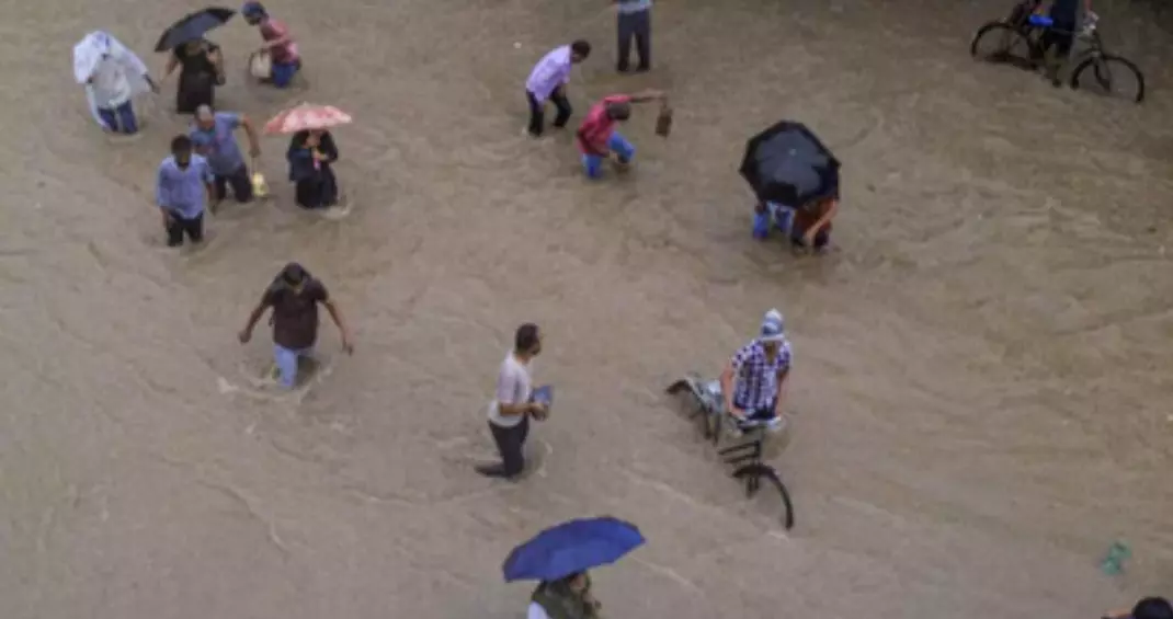 Flood: पहाड़ी इलाकों से लेकर मैदानों तक बारिश और बाढ़ से भारी तबाही! प्रधानमंत्री कर सकते हैं पंजाब का दौरा Flood: पहाड़ी इलाकों से लेकर मैदानों तक बारिश और बाढ़ से भारी तबाही! प्रधानमंत्री कर सकते हैं पंजाब का दौरा