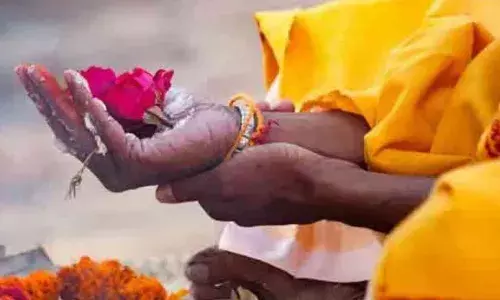 Pitru Pakha 2025: पितृपक्ष में पित्तरों के चढ़ाए यह फूल, खुश होंगे पूर्वज, मिलेगा आशीर्वाद