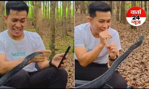 सांप को बिना बीन के कराया डांस! देखकर हो जाएंगे हैरान, जानें कैसे