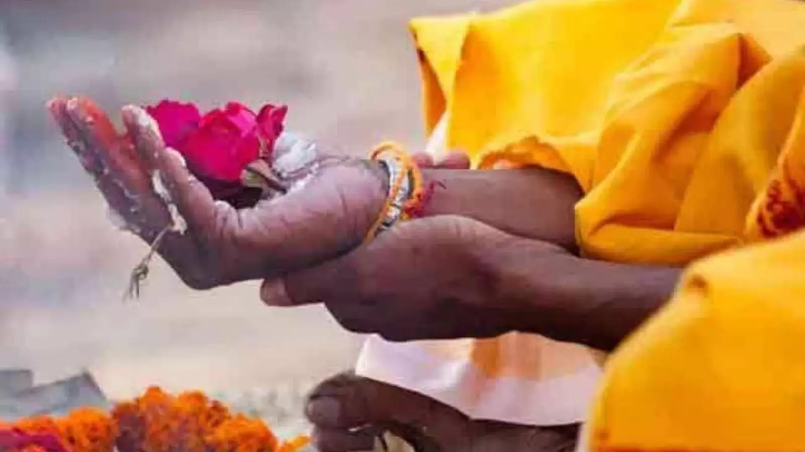 Pitru Pakha 2025: पितृपक्ष में पित्तरों के चढ़ाए यह फूल, खुश होंगे पूर्वज, मिलेगा आशीर्वाद Pitru Pakha 2025: पितृपक्ष में पित्तरों के चढ़ाए यह फूल, खुश होंगे पूर्वज, मिलेगा आशीर्वाद