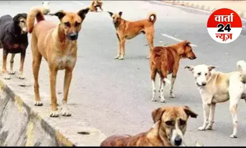 योगी सरकार का आदेश, यह गलती करने पर आवारा कुत्तों को मिलेगी ‘उम्रकैद’, इन शर्तों पर होगी रिहाई योगी सरकार का आदेश, यह गलती करने पर आवारा कुत्तों को मिलेगी ‘उम्रकैद’, इन शर्तों पर होगी रिहाई