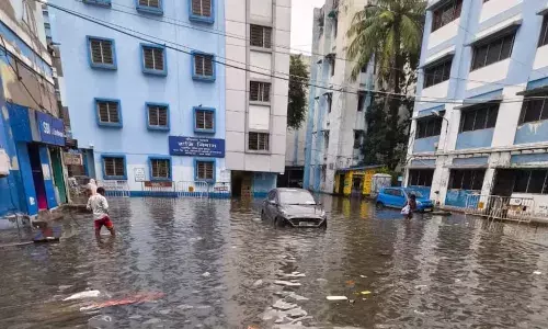 पानी से बेहाल कोलकाता! ट्रेन और हवाई सेवाओं पर लगा ब्रेक, करंट लगने से 5 की मौत पानी से बेहाल कोलकाता! ट्रेन और हवाई सेवाओं पर लगा ब्रेक, करंट लगने से 5 की मौत