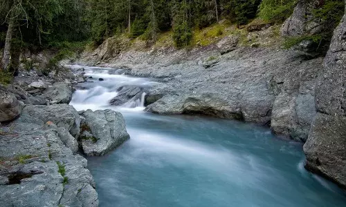 बिहार में दुखद हादसा: फल्गु नदी में डूबने से 11वीं के 5 छात्रों की मौत बिहार में दुखद हादसा: फल्गु नदी में डूबने से 11वीं के 5 छात्रों की मौत