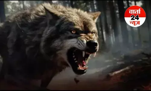 बहराइच में जंगलराज! खूंखाड़ भेड़िए ने पति-पत्नी को जिंदा चबाया, ग्रामीणों का गुस्सा वन विभाग पर टूटा