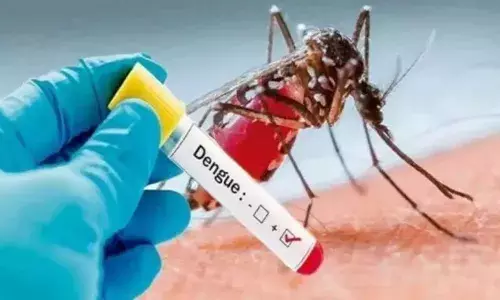 Noida में छाया डेंगू का खतरा! चार दिन में मिले 53 नए मरीज, मामलों की संख्या 419 पर पहुंची
