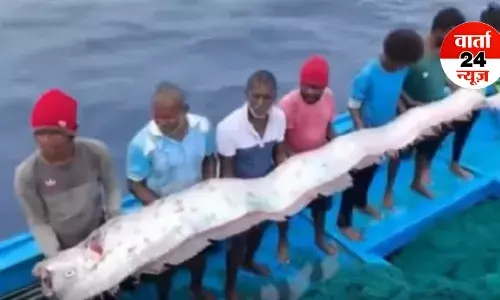 क्या मछली कह रही है आएगा प्रलय? चेन्नई में मछुआरे को डूम्सडे फिश मिलने से मचा हड़कंप, जानें क्यों क्या मछली कह रही है आएगा प्रलय? चेन्नई में मछुआरे को डूम्सडे फिश मिलने से मचा हड़कंप, जानें क्यों