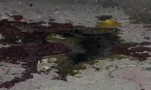 DU छात्रा एसिड अटैक केस में नया मोड़ – पिता ने कबूला, आरोपी को फंसाने के लिए रची थी साजिश DU छात्रा एसिड अटैक केस में नया मोड़ – पिता ने कबूला, आरोपी को फंसाने के लिए रची थी साजिश