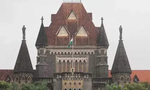 नाना की प्रॉपर्टी पर नाती-नातिन का जन्मसिद्ध अधिकार नहीं, बॉम्बे हाई कोर्ट का बड़ा फैसला नाना की प्रॉपर्टी पर नाती-नातिन का जन्मसिद्ध अधिकार नहीं, बॉम्बे हाई कोर्ट का बड़ा फैसला