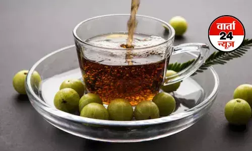 घर पर स्वयं ही बनाएं आंवला की चाय, वजन तो घटेगा ही शुगर भी होगी कंट्रोल घर पर स्वयं ही बनाएं आंवला की चाय, वजन तो घटेगा ही शुगर भी होगी कंट्रोल