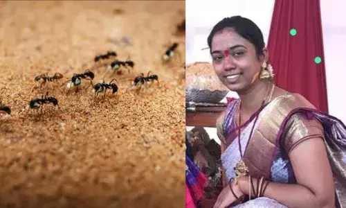 मुझे माफ करना चींटियों के साथ रहना मेरी गलती नहीं...महिला ने किया सुसाइड, इस रोग से थी ग्रस्त मुझे माफ करना चींटियों के साथ रहना मेरी गलती नहीं...महिला ने किया सुसाइड, इस रोग से थी ग्रस्त