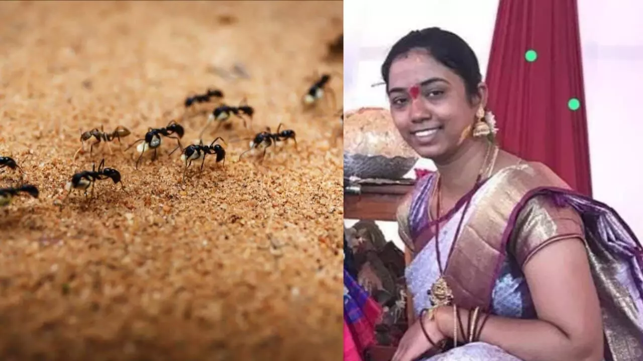 मुझे माफ करना चींटियों के साथ रहना मेरी गलती नहीं...महिला ने किया सुसाइड, इस रोग से थी ग्रस्त मुझे माफ करना चींटियों के साथ रहना मेरी गलती नहीं...महिला ने किया सुसाइड, इस रोग से थी ग्रस्त