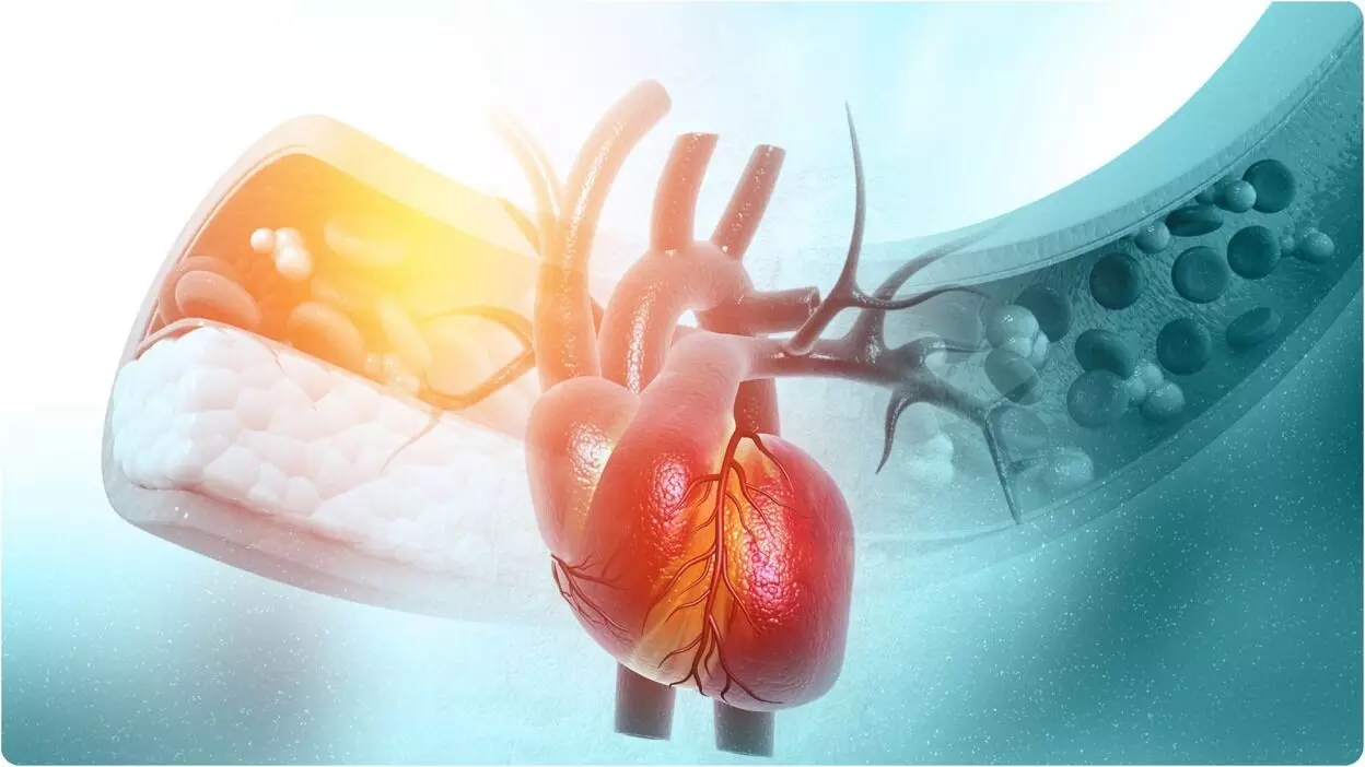 कहीं आपके सिर के दर्द का तो नहीं हो रहा दिल पर असर, जानें क्या है दिमाग का दिल से कनेक्शन!