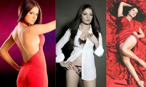 सेलिना जेटली ने विदेशी पति पर लगाए गंभीर आरोप, मुंबई हाई कोर्ट का किया रुख, मुआवजे के तौर पर मांगे 50 करोड़, जानें पूरा मामला