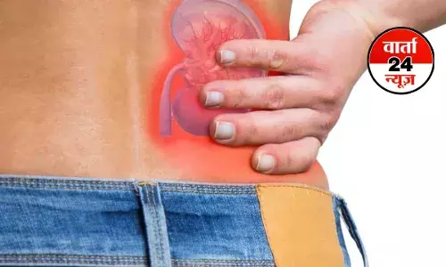 HEALTH: गुर्दे में पथरी क्यों होती है? जानें कारण, बचाव और उपचार HEALTH: गुर्दे में पथरी क्यों होती है? जानें कारण, बचाव और उपचार