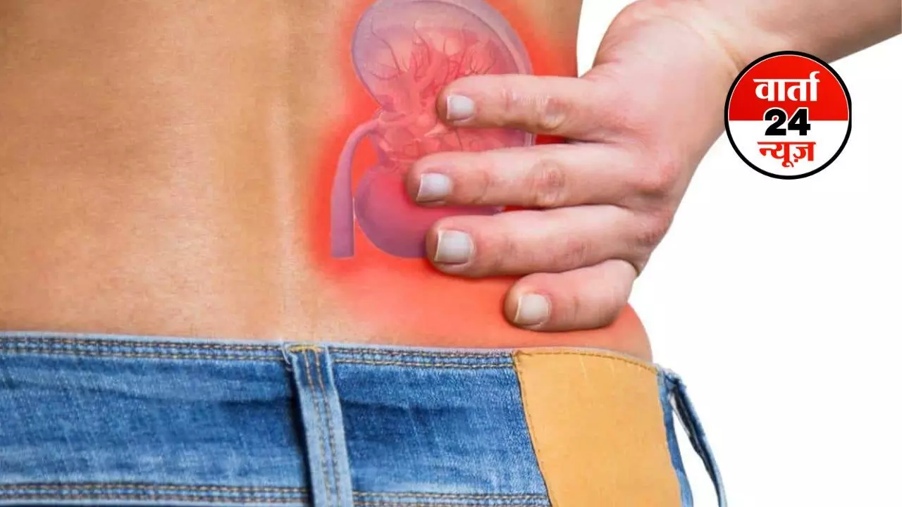 HEALTH: गुर्दे में पथरी क्यों होती है? जानें कारण, बचाव और उपचार