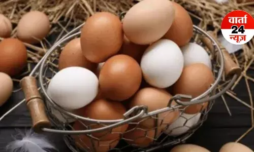 हो जाएं सावधान, कहीं आप भी तो असली की जगह नकली अंडे का सेवन नहीं कर रहे, जानें इसे पहचानने के तरीके