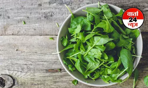 सर्दियों में पालक खाने के अद्भुत फायदे: इम्यूनिटी से लेकर हड्डियों तक को मिलती है मजबूती