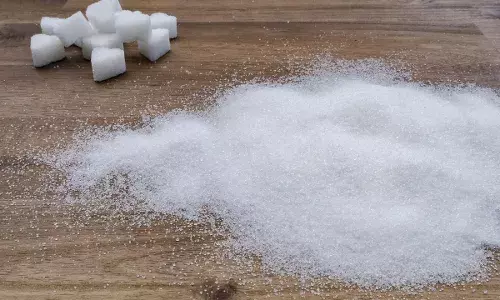 बिहार में बंद चीनी मिलों को मिलेगी नई जिंदगी, नीतीश सरकार ने किया बड़ा प्लान तैयार