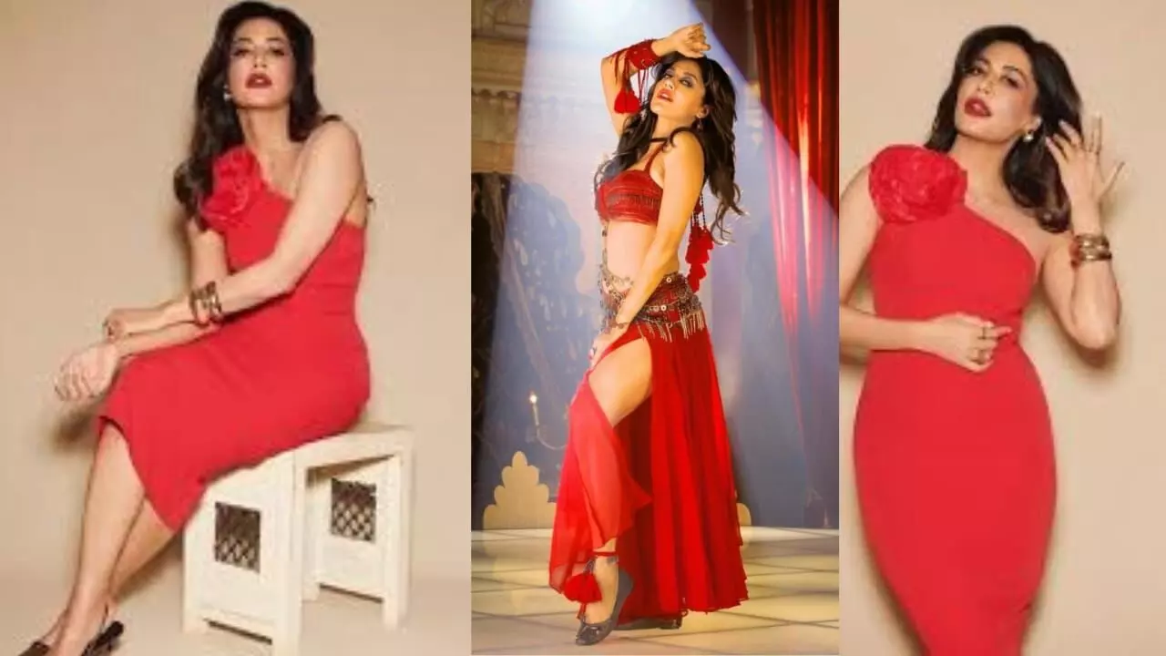 अभिनेत्री चित्रांगदा ने बैटल ऑफ गलवान में सलमान के साथ काम करने के एक्सपीरियंस को किया साझा! जानें क्या कहा