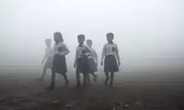 यूपी में घने कोहरे का कहर! इन जिलों में स्कूलों के समय में बदलाव, आदेश जारी...
