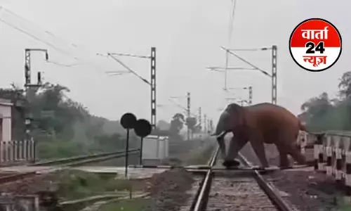 असम में बड़ा हादसा: राजधानी एक्सप्रेस हाथियों के झुंड से टकराई, 8 हाथियों की मौत, जानें कैसे हुआ हादसा