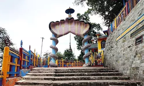 सपने में आता हो सांप तो एक बार जरूर दर्शन करने जाएं उत्तराखंड के इस मंदिर में, जानें क्या है नाम...