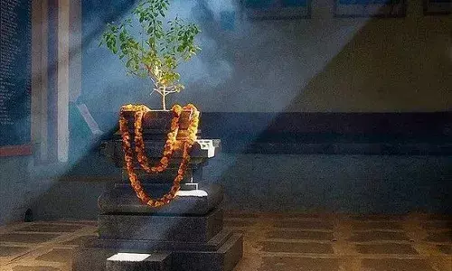 Tulsi Puja: मां तुलसी की इस तरीके से करिए पूजा, पूरी होगी सारी मनोकामना