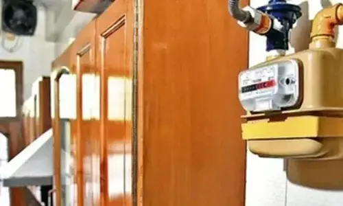 दिल्ली-NCR के लोगों को न्यू ईयर गिफ्ट, PNG सस्ती; IGL ने घटाईं कीमतें