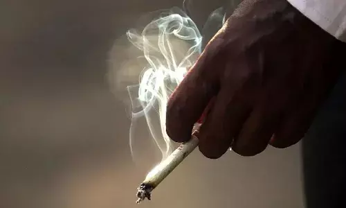 सिगरेट कंपनियों के शेयरों में हाहाकार! इरेडा के निवेशकों में दौड़ी खुशी की लहर, 1 फरवरी से लागू होंगे नियम