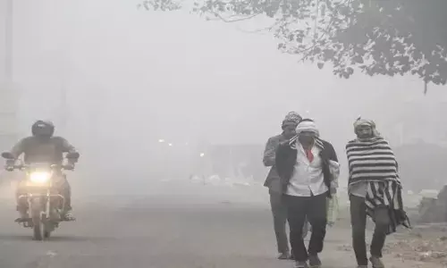 शीतलहर का कहर! ठंड ने बढ़ाई आफत, मौसम विभाग ने जारी की चेतावनी, क्या है दिल्ली-यूपी का हाल