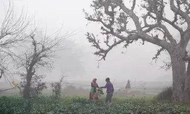 सर्दी का सितम जारी:  ठंड और कोहरे की दोहरी मार, कई जिलों में शीतलहर का प्रकोप, मौसम विभाग ने 13 जिलों में किया अलर्ट जारी