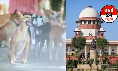 राजस्थान हाईकोर्ट के दो जज हुए कुत्ते के काटने का शिकार! जानें सुप्रीम कोर्ट ने आवारा कुत्तों पर क्या की टिप्पणी