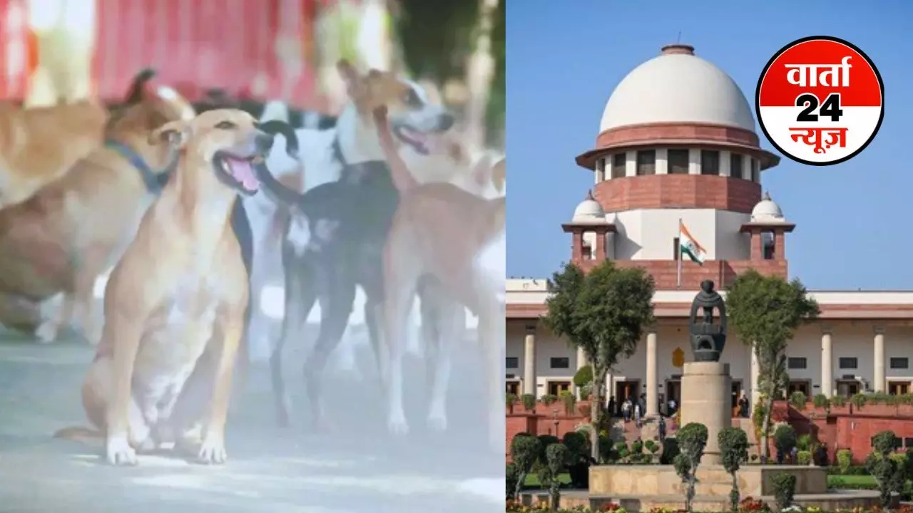 राजस्थान हाईकोर्ट के दो जज हुए कुत्ते के काटने का शिकार! जानें सुप्रीम कोर्ट ने आवारा कुत्तों पर क्या की टिप्पणी राजस्थान हाईकोर्ट के दो जज हुए कुत्ते के काटने का शिकार! जानें सुप्रीम कोर्ट ने आवारा कुत्तों पर क्या की टिप्पणी