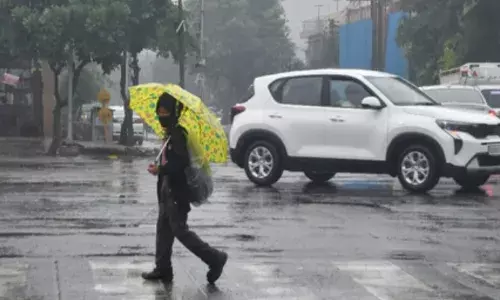 कड़ाके की ठंड के बीच दिल्ली एनसीआर के कई इलाकों में हुई बारिश, कोहरे ने वाहनों के रफ्तार को रोका