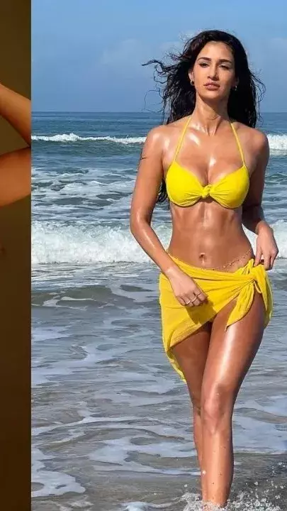 दिशा पटानी को टाइगर से ब्रेकअप के बाद मिला नया प्यार! पंजाबी सिंगर तलविंदर के प्यार में डूबी, जानें कौन है दिशा का प्यार