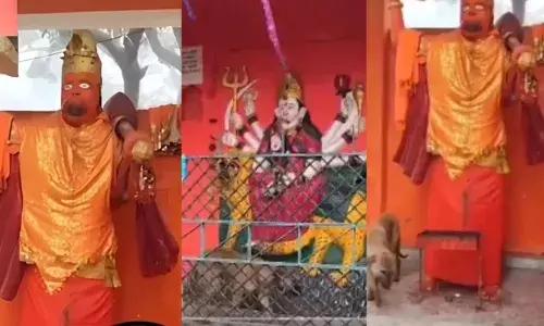 भगवान की मूर्तियों की परिक्रमा करने वाले कुत्ते के बारे में डॉक्टरों ने कहा- हिल गया है दिमाग, लोगों ने कहा था भैरव बाबा का अवतार...