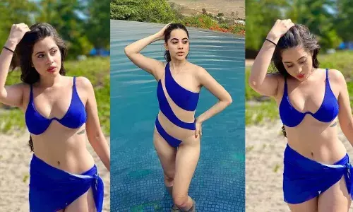 उर्फी जावेद के टॉक्सिक पार्टनर कपड़ों और बातों पर करते थे टिप्पणी, निया शर्मा ने यह बोलकर दिया साथ