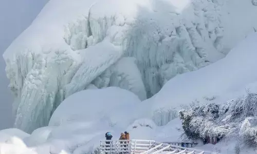 बर्फीले तूफान में जमा दुनिया का सबसे शक्तिशाली नियाग्रा वॉटरफॉल, जानें क्या है इसकी हकीकत...