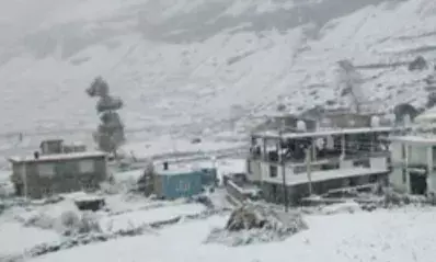 WEATHER UPDATE: उत्तर प्रदेश में कोहरे ने विजिबिलिटी कम की, कई मुख्य मार्गों पर वाहन चालक टकराने से बचे