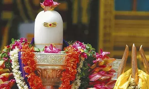 इस महाशिवरात्रि भगवान शिव को चढ़ाएं ये फूल, भोले को है अति प्रिय, जानें नाम