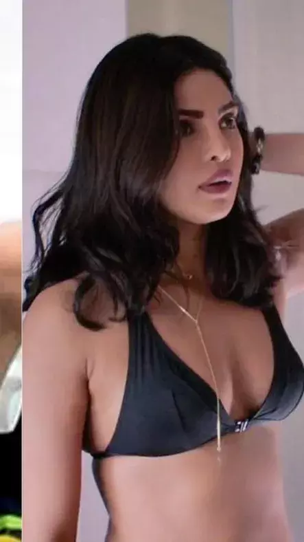 प्रियंका चोपड़ा ने तलाक की खबरों पर लगाया विराम, बोलीं-  8 साल बाद भी रिश्ता मजबूत...