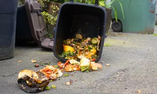 कानून हो तो ऐसा... फ्रांस में खाने की बर्बादी पर देना होता है 80 लाख का जुर्माना, क्या भारत में भी है ऐसा कानून?