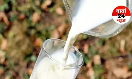 दूध बना जान का दुश्मन: आंधप्रदेश में मिलावटी दूध पीने से चार की मौत, 14 लोग अस्पताल में भर्ती, सीएम एन. चंद्रबाबू नायडू ने लिया संज्ञान