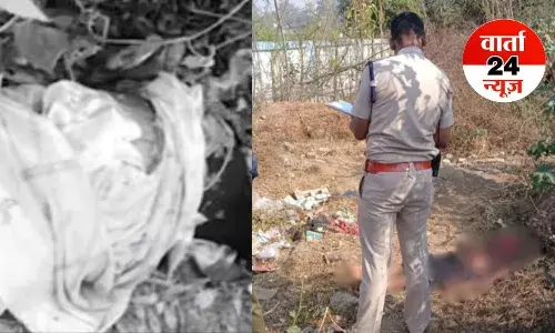 जबलपुर: झाड़ियों में मिली महिला की लाश, सूअर नोचकर खा रहे थे पेट, पुलिस को हत्या की आशंका...पढ़े पूरी खबर