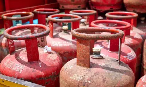 खाना बनाने में क्यों सिर्फ LPG का ही होता है यूज, आखिर दूसरी कोई गैस क्यों नहीं, जानें वजह