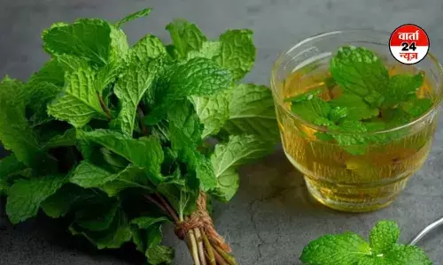 गर्मी में सूपरकूल रखता है पुदीना! जानें क्या हैं इसके औषधिक फायदे
