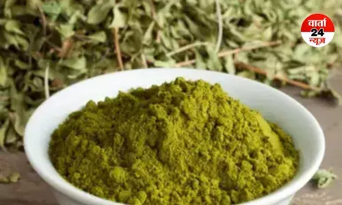 राजस्थान का फेमस मेहंदी उद्योग संकट में, इतने करोड़ का नुकसान, 10 फीसदी तक सिमटा कारोबार...